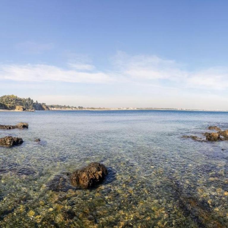 Agréable studio bord de mer - Studio - 10