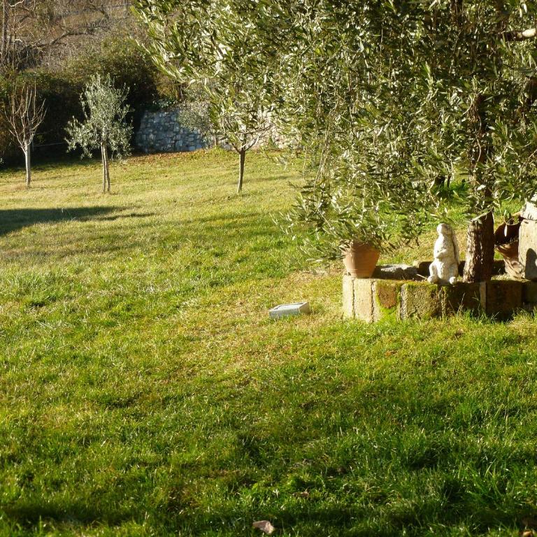 Casa Teodoro - Gelsomino, Ulivi & Orchidea - Appartamento con 1 Camera da Letto - 17