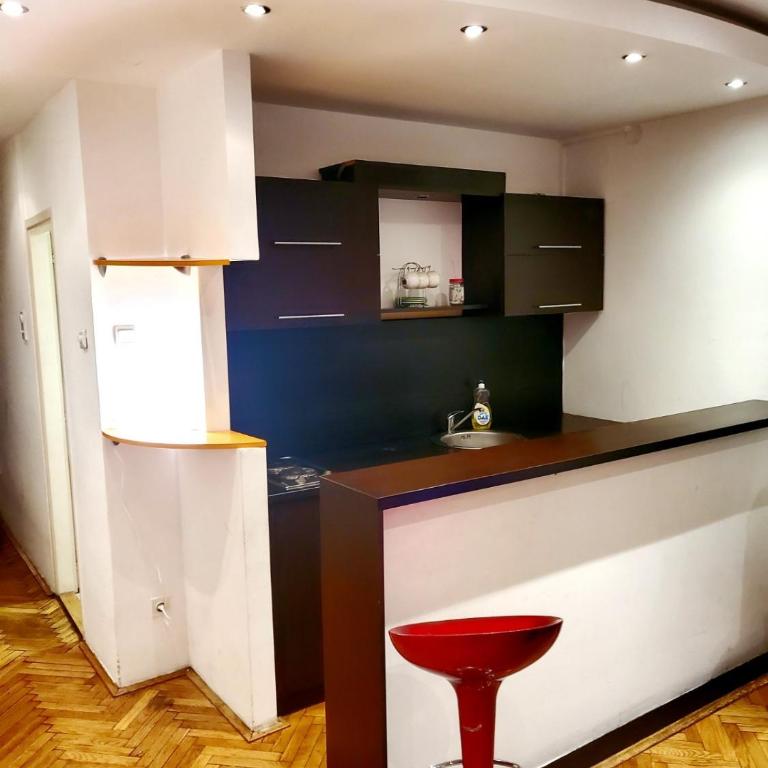 Belgrade Central Suite - Apartman sa 1 Spavaćom Sobom - 15