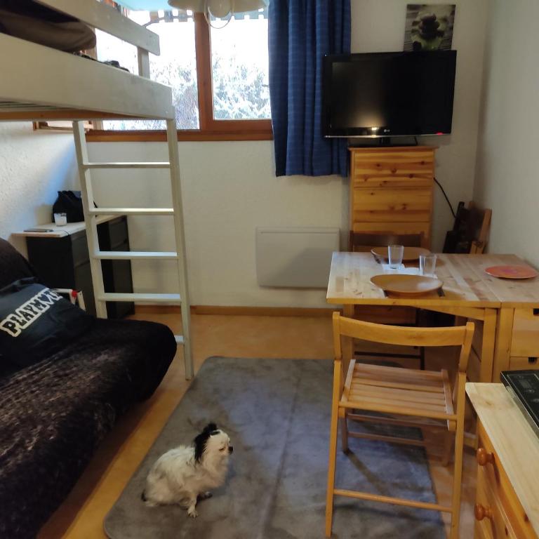 PETIT STUDIO 17 M2 - Apartment mit 1 Schlafzimmer - 1