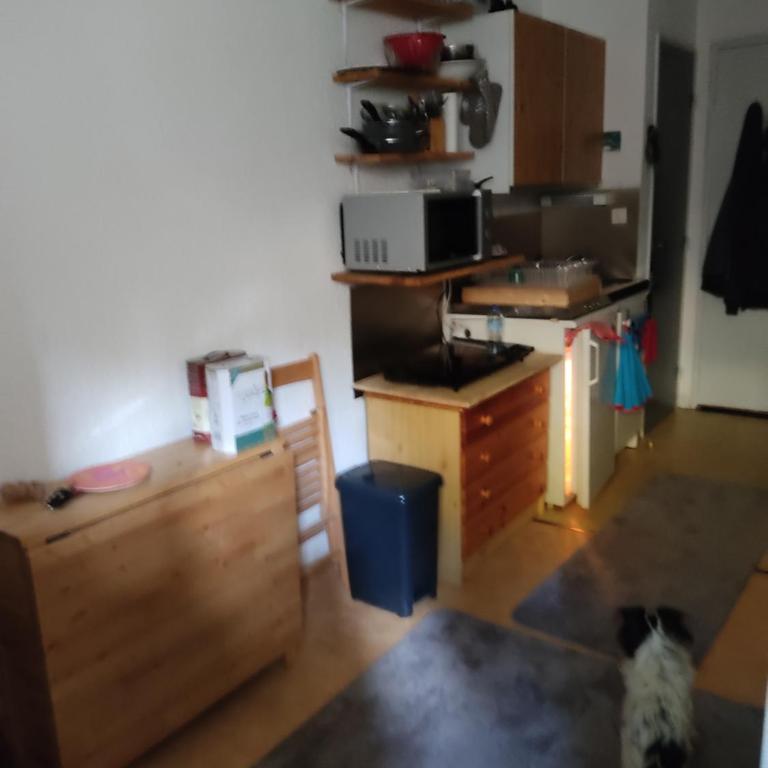 PETIT STUDIO 17 M2 - Apartment mit 1 Schlafzimmer - 3