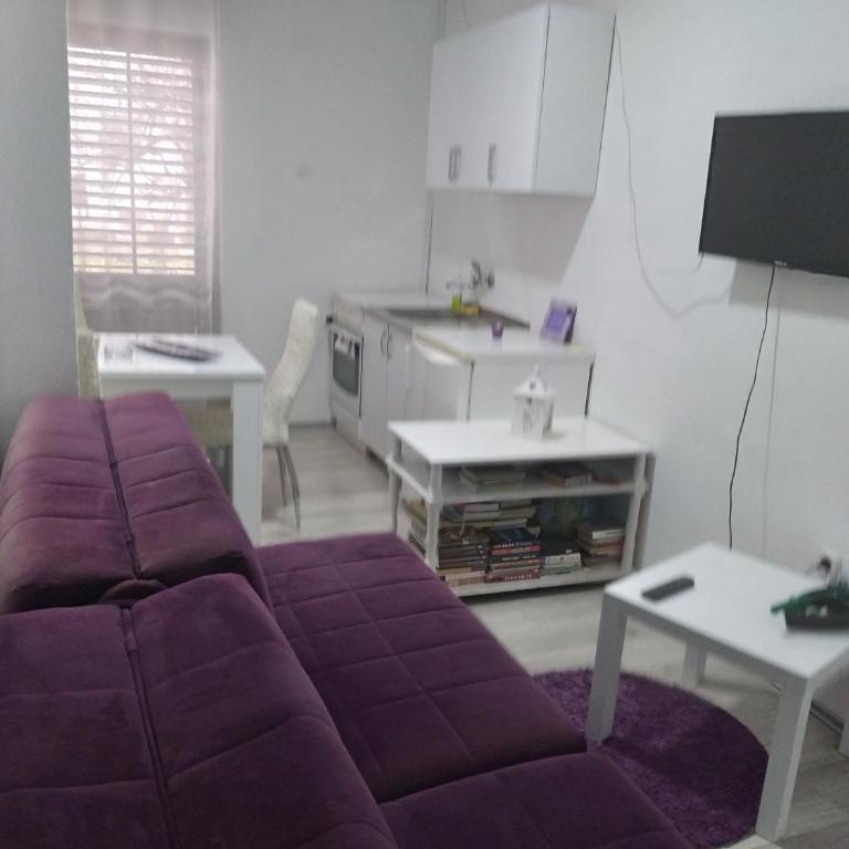 Apartments Lord - Apartman sa Balkonom - 19