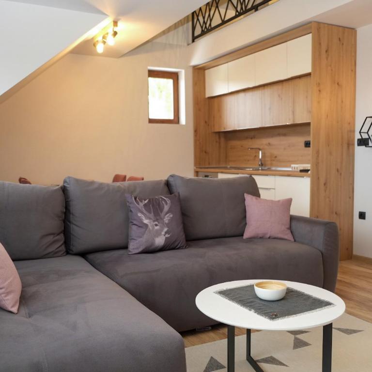 Vila Planinsko Blago - Superior Apartman - 5