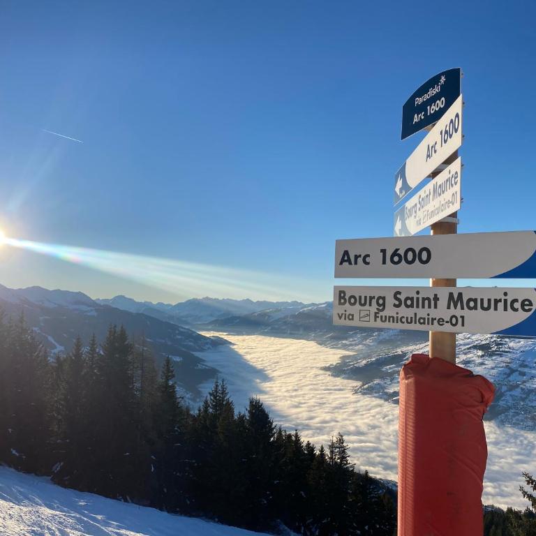 Les ARCS 1600 - SKI AUX PIEDS - MAGNIFIQUE DUPLEX 12 PERSONNES - Appartement - 44