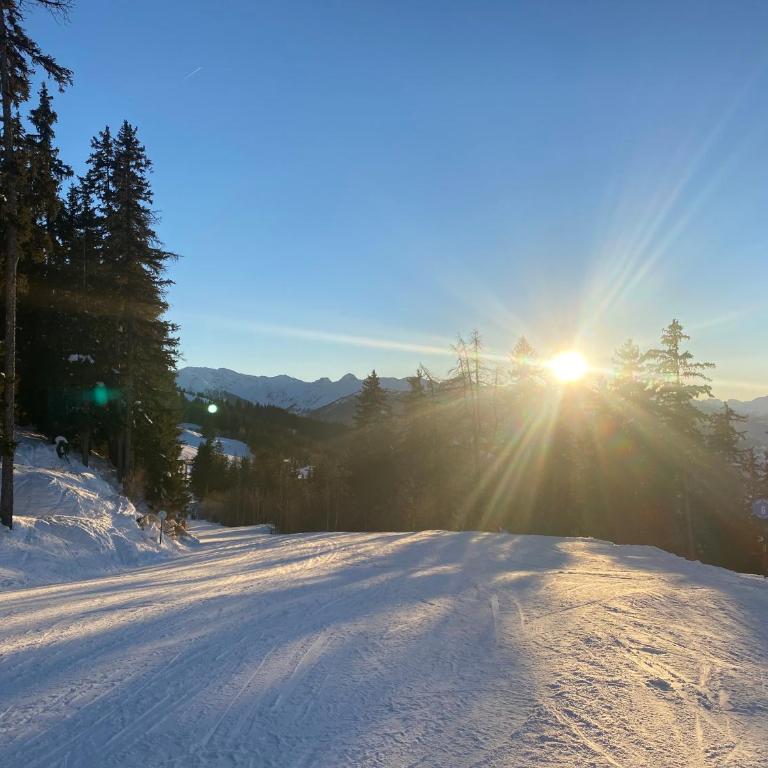 Les ARCS 1600 - SKI AUX PIEDS - MAGNIFIQUE DUPLEX 12 PERSONNES - Appartement - 47