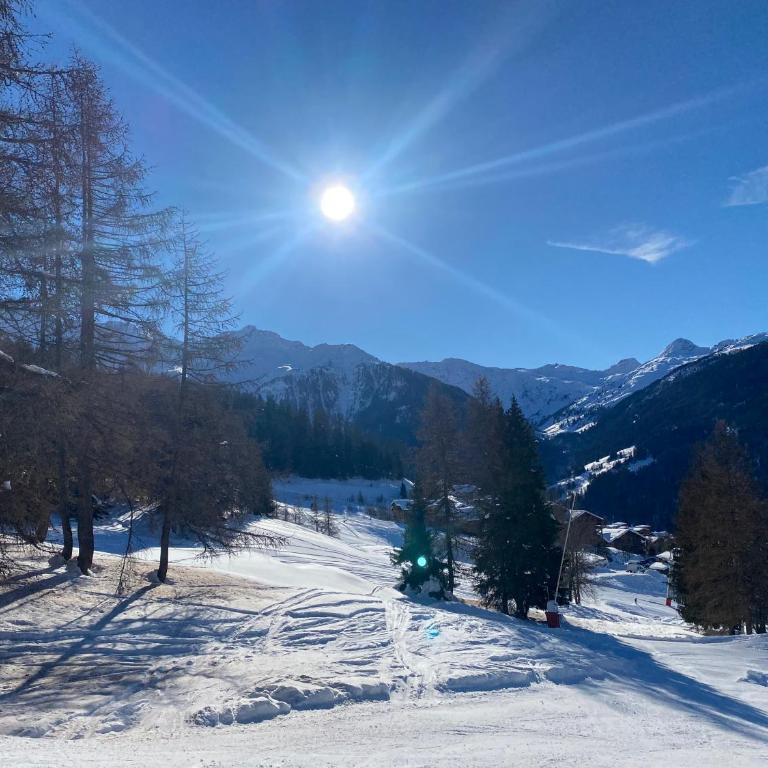 Les ARCS 1600 - SKI AUX PIEDS - MAGNIFIQUE DUPLEX 12 PERSONNES - Appartement - 51