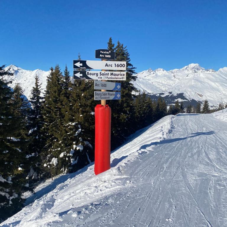 Les ARCS 1600 - SKI AUX PIEDS - MAGNIFIQUE DUPLEX 12 PERSONNES - Appartement - 42