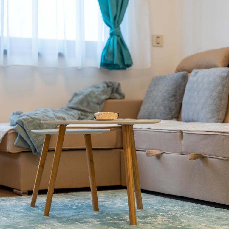 Apartman Filipović - Apartman sa 1 Spavaćom Sobom - 9
