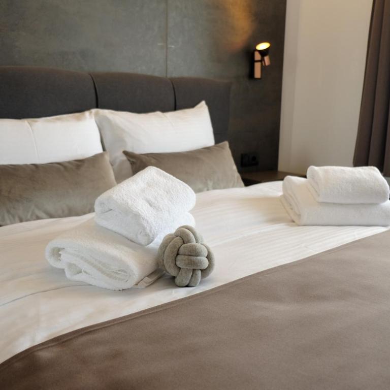 Vila Planinsko Blago - Deluks Apartman - 2