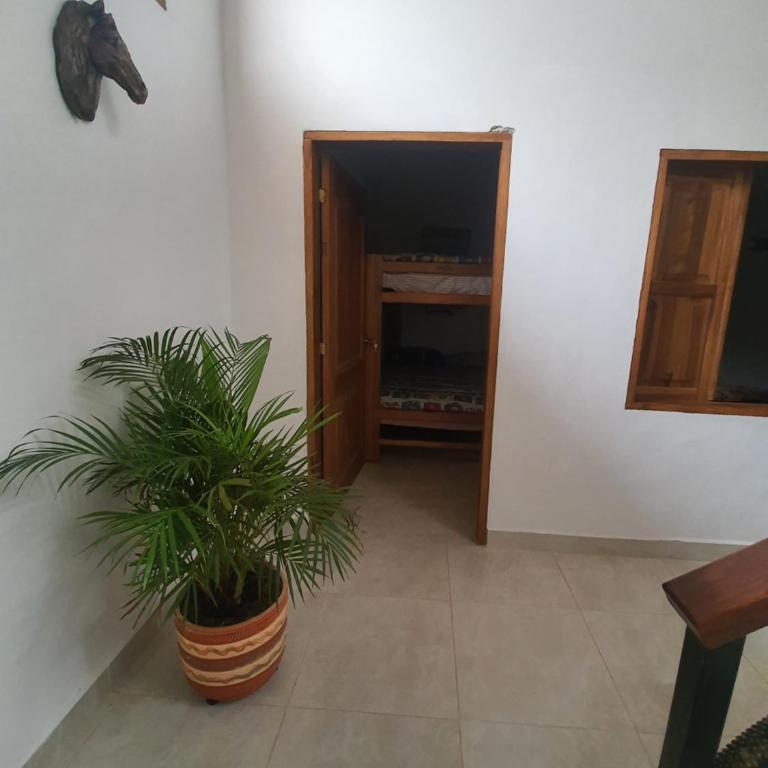 Villa del Socorro - Apartamento con balcón - 39