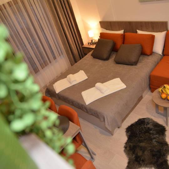 Milmari Future Gold Apartmani Kopaonik - Apartman sa 1 Spavaćom Sobom - 58