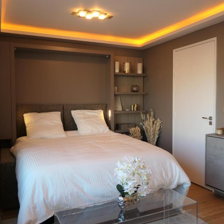 Luxury Studio Daumesnil Wifi & Netflix - Studio Deluxe - 1