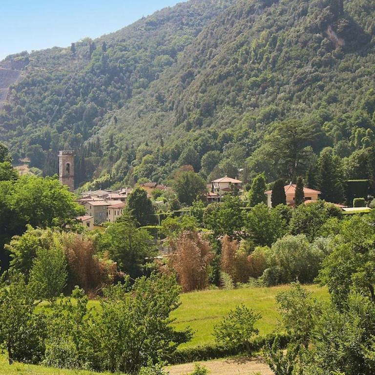 Villa in Camaiore with Panoramic Mountain Views - Ferienhaus mit 2 Schlafzimmern - 2