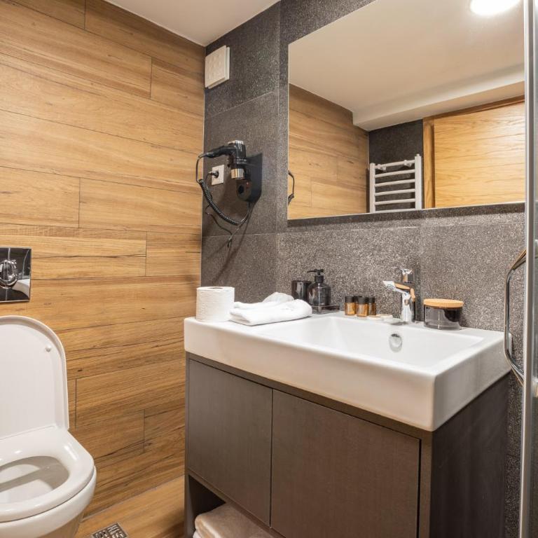 Modern Mountain - Deluks Suite sa Bračnim Krevetom (King-size) - 1