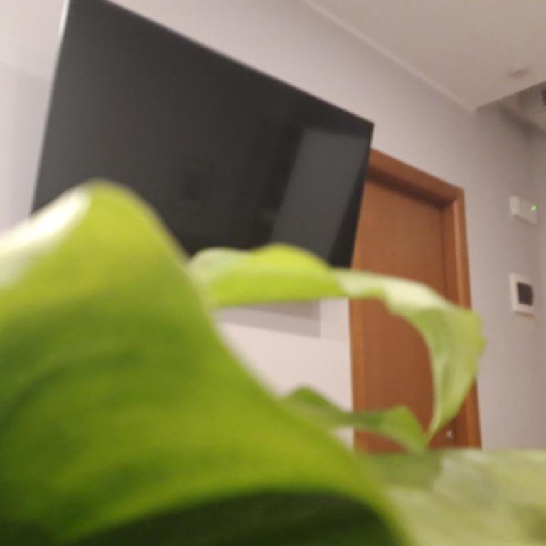 Hotel Garni Rosmari - Monolocale Superior - 12