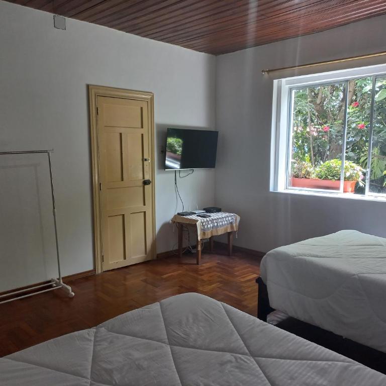 Villa Amada a place to relax and take a rest - Apartamento de 2 dormitorios - 6