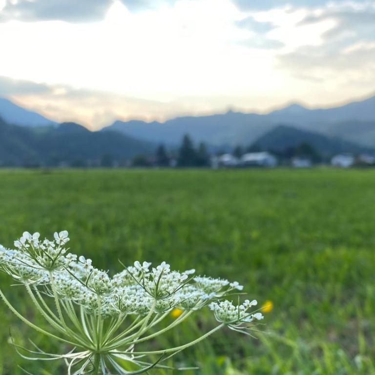 Ferienwohnung Kranzhornblick - Alpenmagie Suites - Apartment mit 1 Schlafzimmer - 25