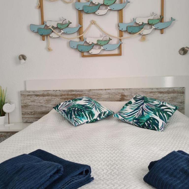 Ocean Forty C Apt. Green Oasis Costa Calma FUE - Apartamento de 1 dormitorio - 17
