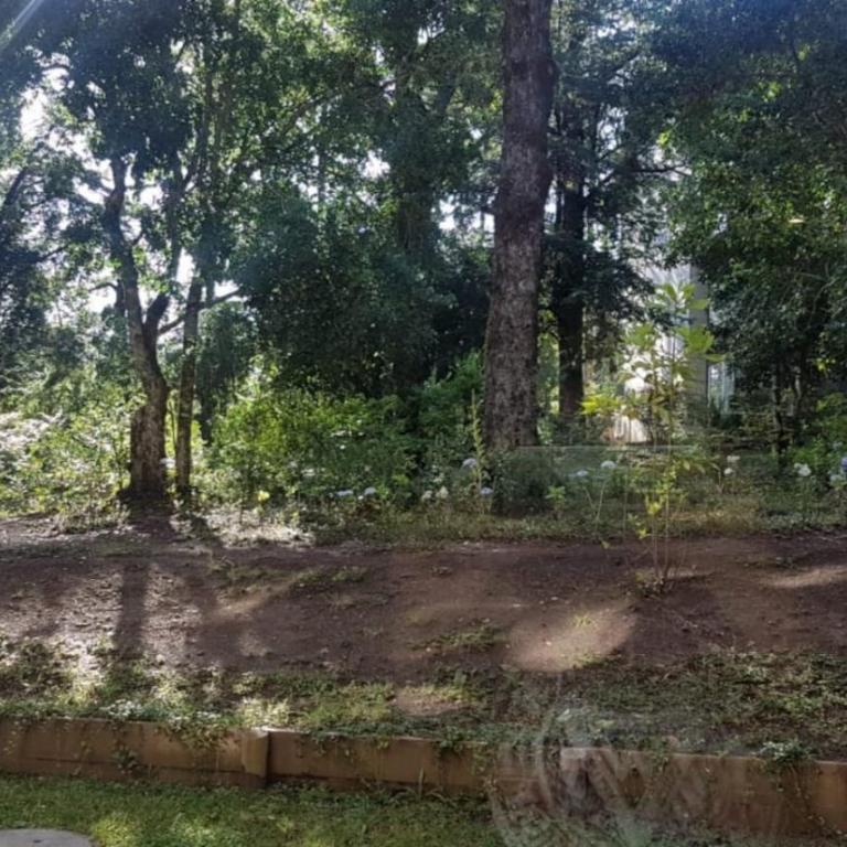 Departamento en la naturaleza de Pucón - Apartamento de 1 dormitorio - 18
