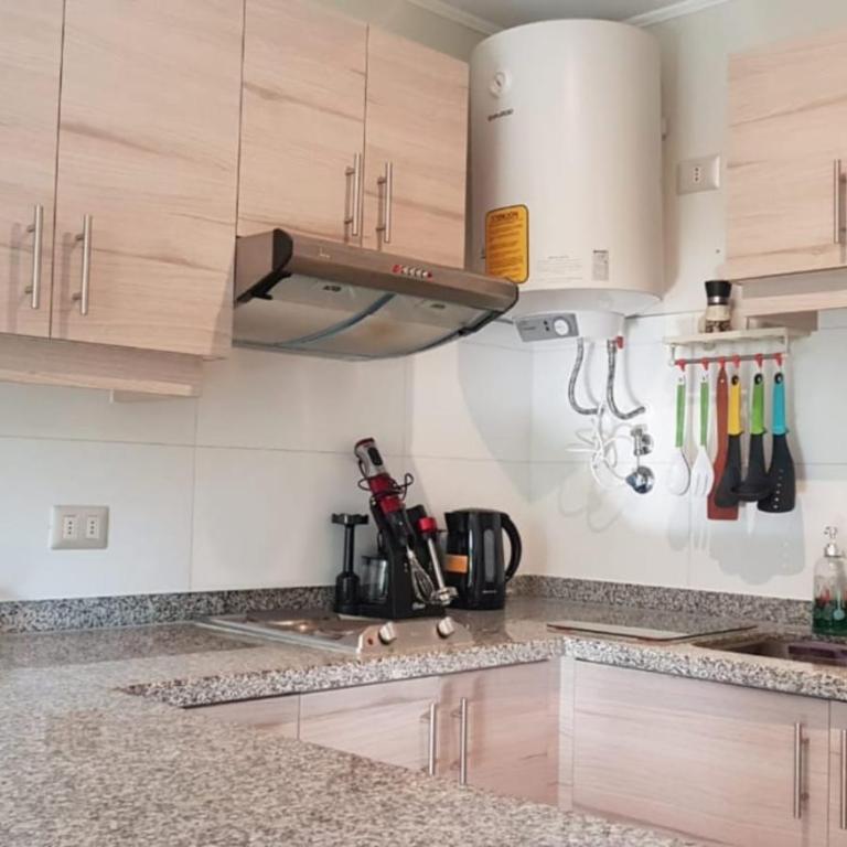 Departamento en la naturaleza de Pucón - Apartamento de 1 dormitorio - 20