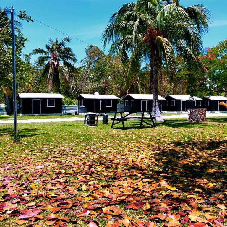 ECO-CABAÑAS Cancún - Quadruple Room with Bathroom - 5