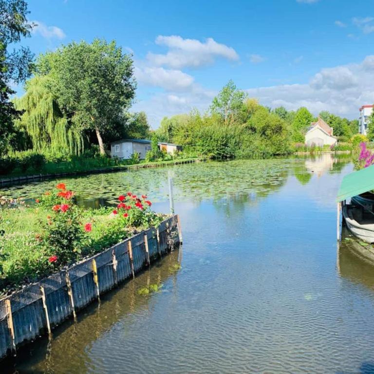 Le Cottage des Hortillonnages - Apartamento de 1 dormitorio - 11