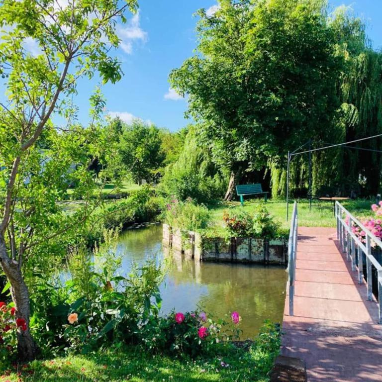 Le Cottage des Hortillonnages - Apartamento de 1 dormitorio - 1