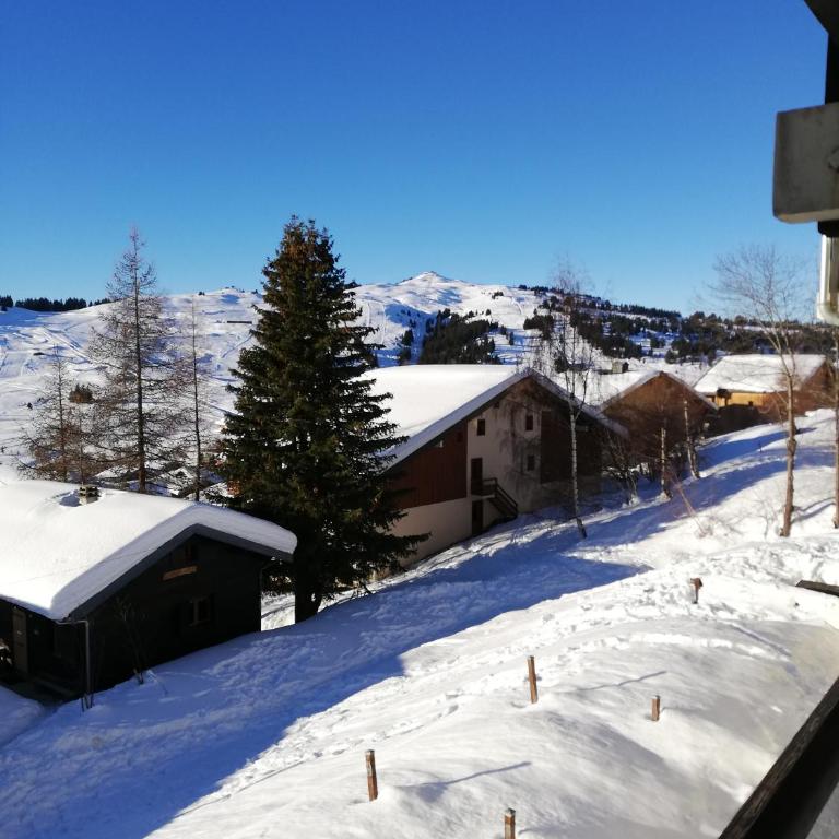 les saisies ;loue a la semaine - Maison 1 Chambre - 1