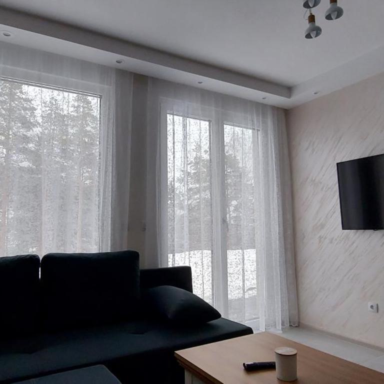 Sumski san 1 - Apartman sa 1 Spavaćom Sobom - 9
