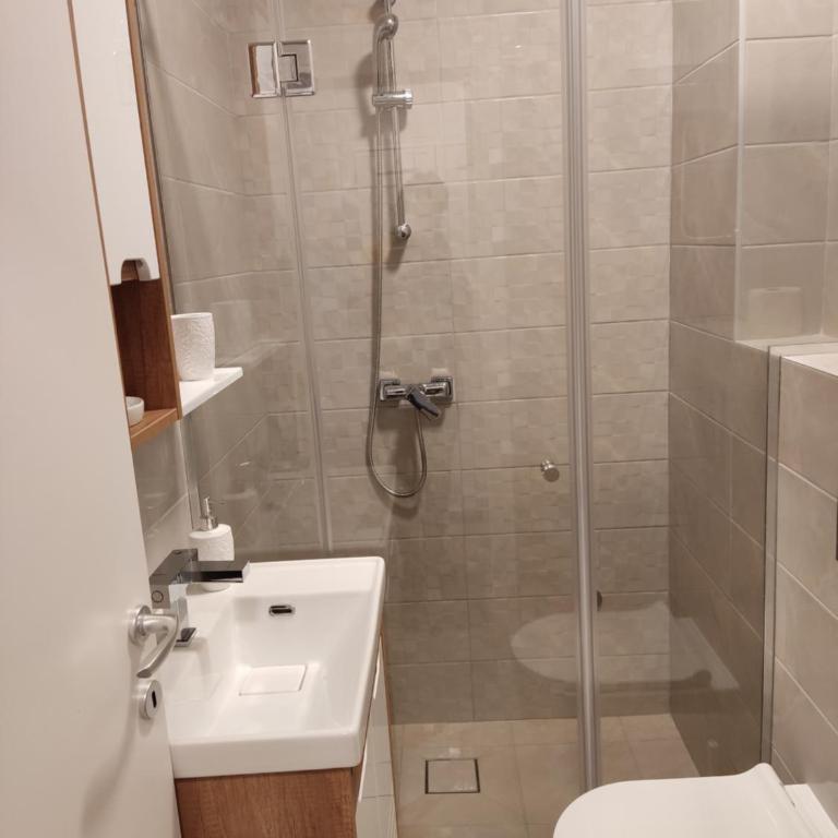 Apartmani Jezero Divčibare - Studio sa Pogledom na Planinu - 4