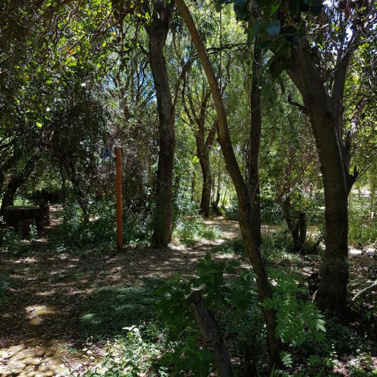 De las Rosas Bariloche - Bungalow de 2 dormitorios - 13