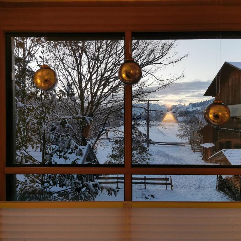 Ferienwohnung Wiesenblick - Apartment mit 1 Schlafzimmer - 31