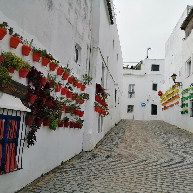 La Guarida de Vejer - Apartamento - 31
