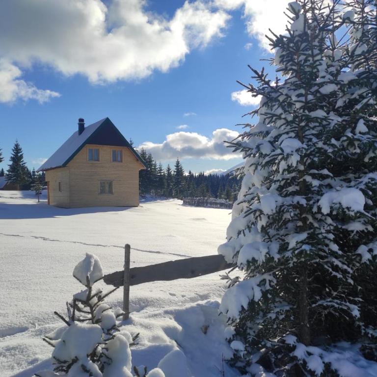 Eco house - Villa - 5