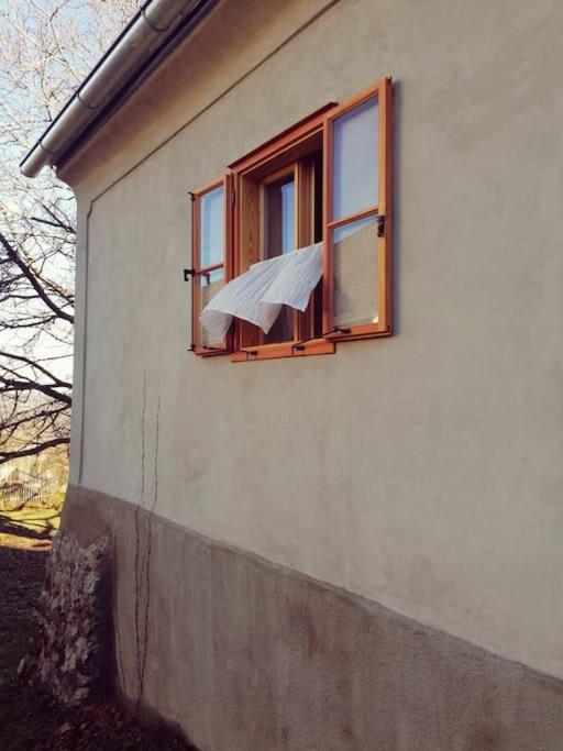 Weinstöckl in der Südsteiermark - Haus mit 1 Schlafzimmer - 23