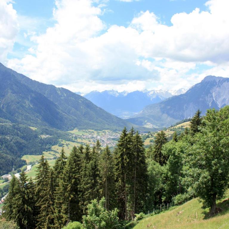 Panorama Ferienwohnung Reich - Apartment mit Blick auf die Berge - 34