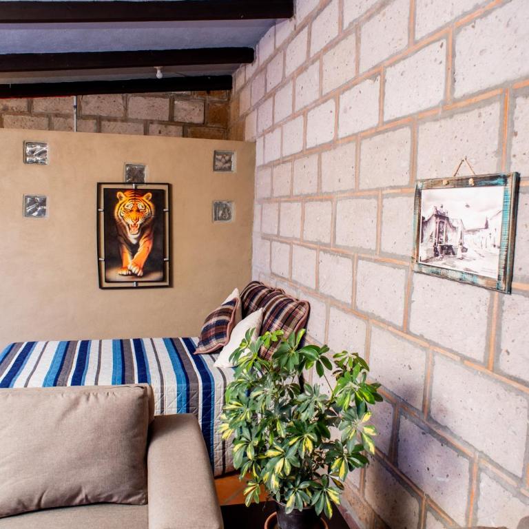 Rancho los olivos Habitaciones Campestres - Habitación Familiar - 6