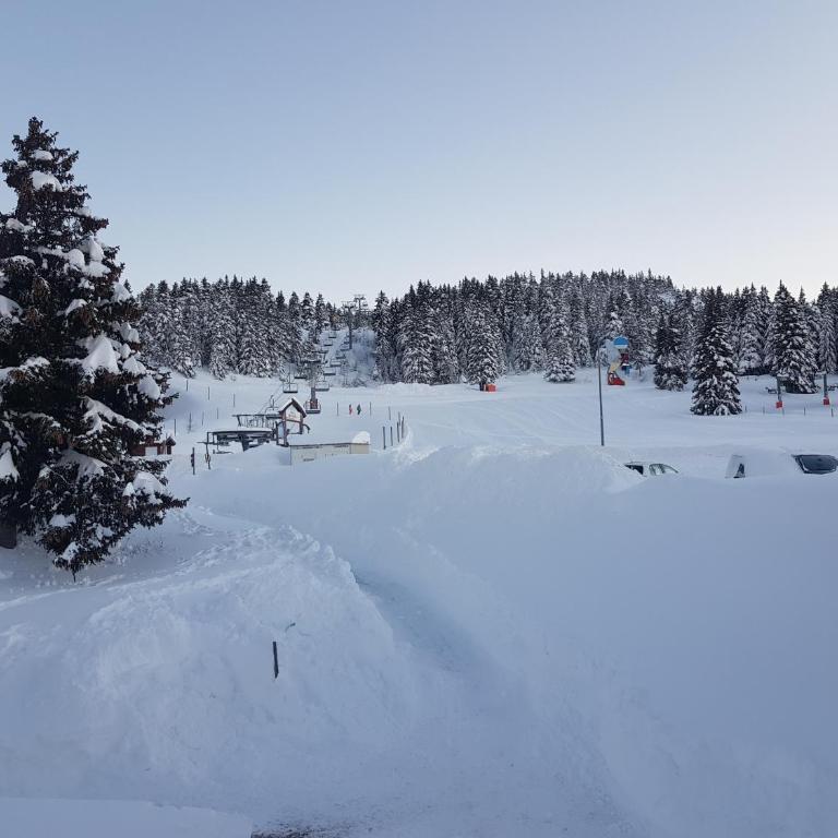 L'Après-ski Chamrousse 1700 - Appartement 1 Chambre - 11