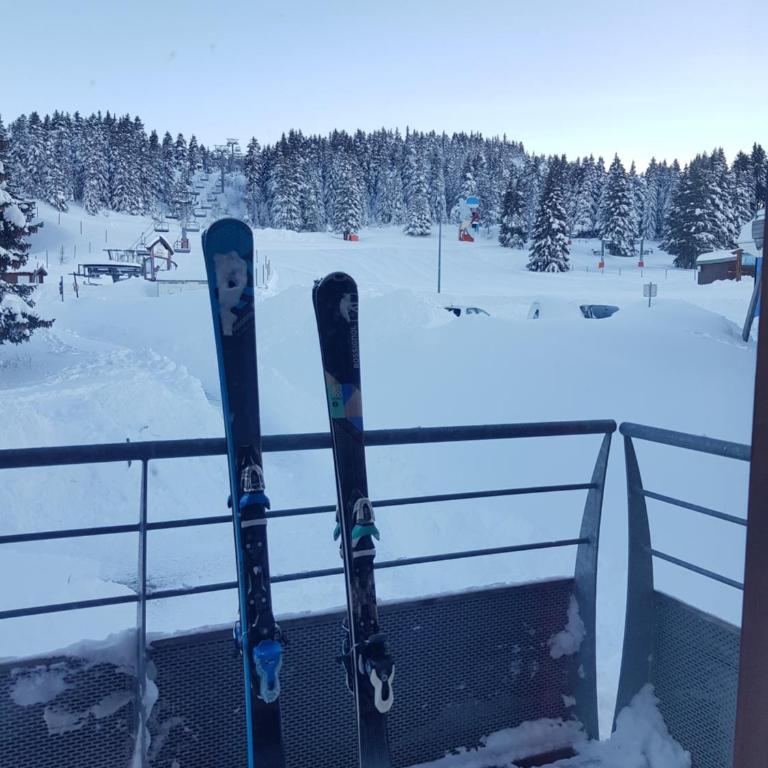 L'Après-ski Chamrousse 1700 - Appartement 1 Chambre - 10