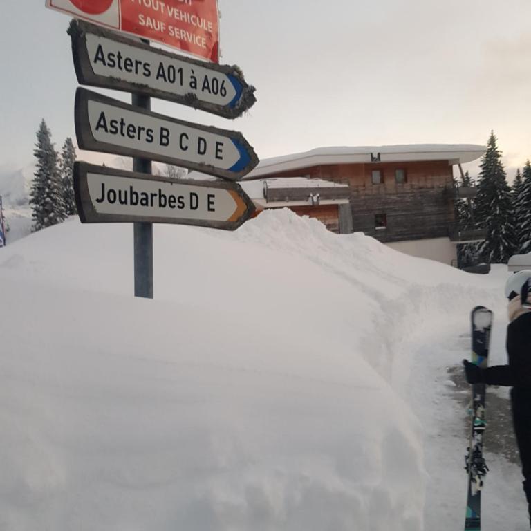 L'Après-ski Chamrousse 1700 - Appartement 1 Chambre - 25