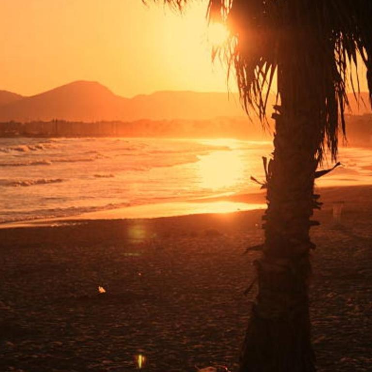 Paradise Village Port Aventuras - Apartamento de 2 dormitorios - 84
