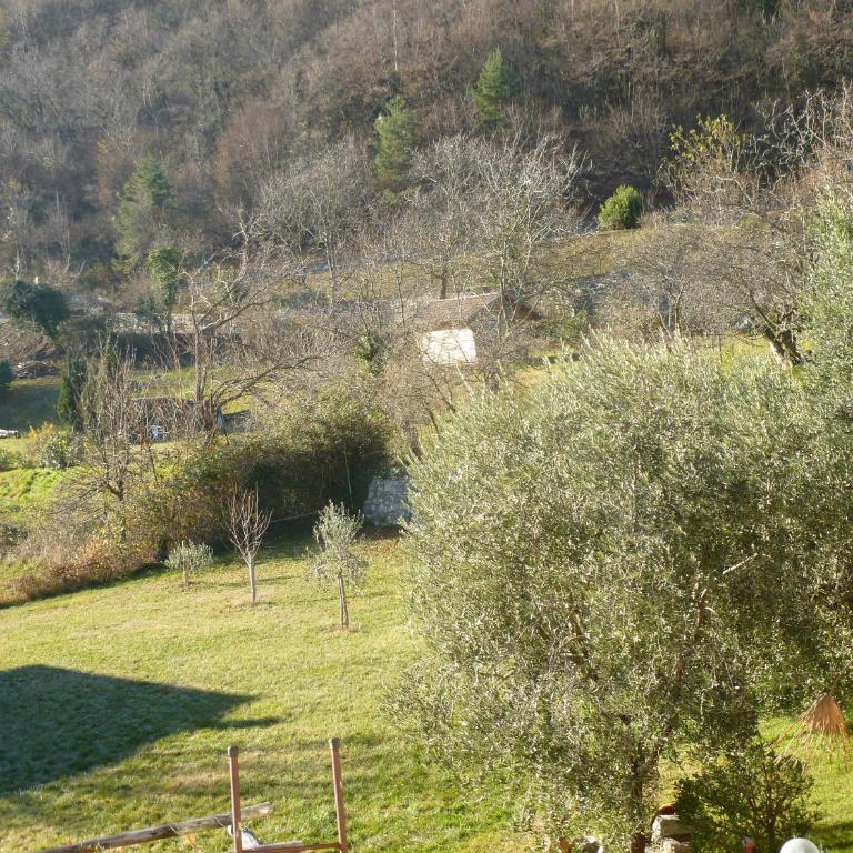 Casa Teodoro - Gelsomino, Ulivi & Orchidea - Appartamento con 1 Camera da Letto - 20