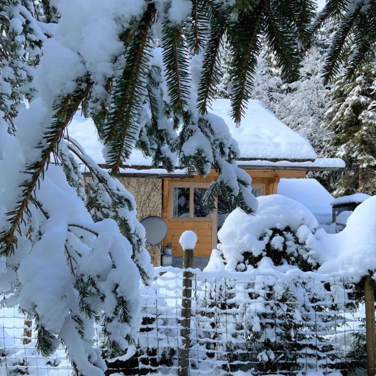 Chalet Cristal Trail - Apartment mit 1 Schlafzimmer - 11