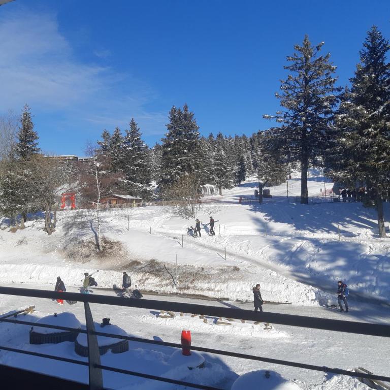 Chamrousse 1700 - Les Domaines de LArselle -Droseras E23 - Au pied des pistes - Appartement 1 Chambre - 14