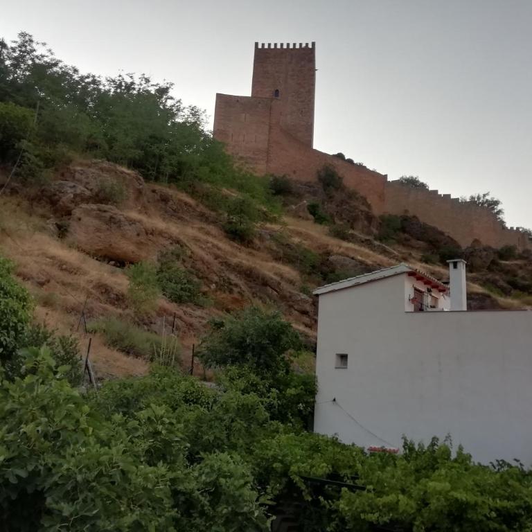 Puerto Lorente - Apartamento de 1 dormitorio - 2