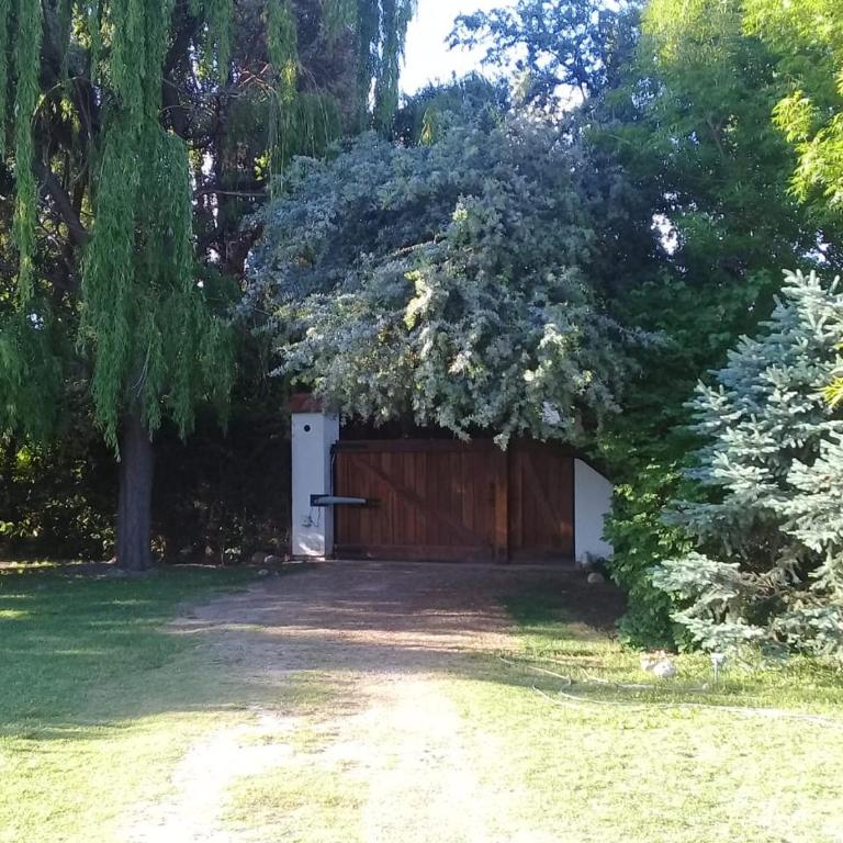Casa en Luján de Cuyo con pileta - Casa de 2 dormitorios - 13