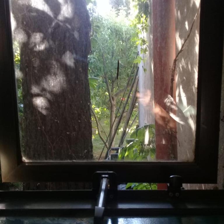 Casa en Luján de Cuyo con pileta - Casa de 2 dormitorios - 39