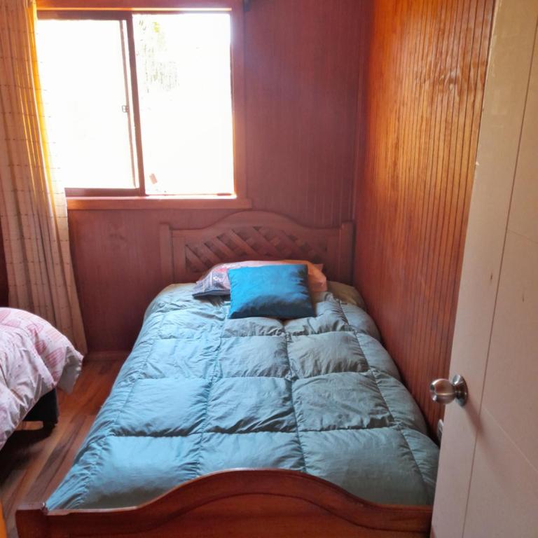 Cabaña Radal - Two-Bedroom Apartment - 10
