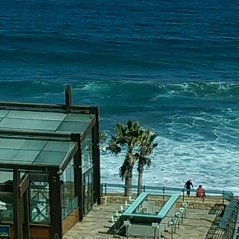 Ocean View - Apartamento de 1 dormitorio - 5