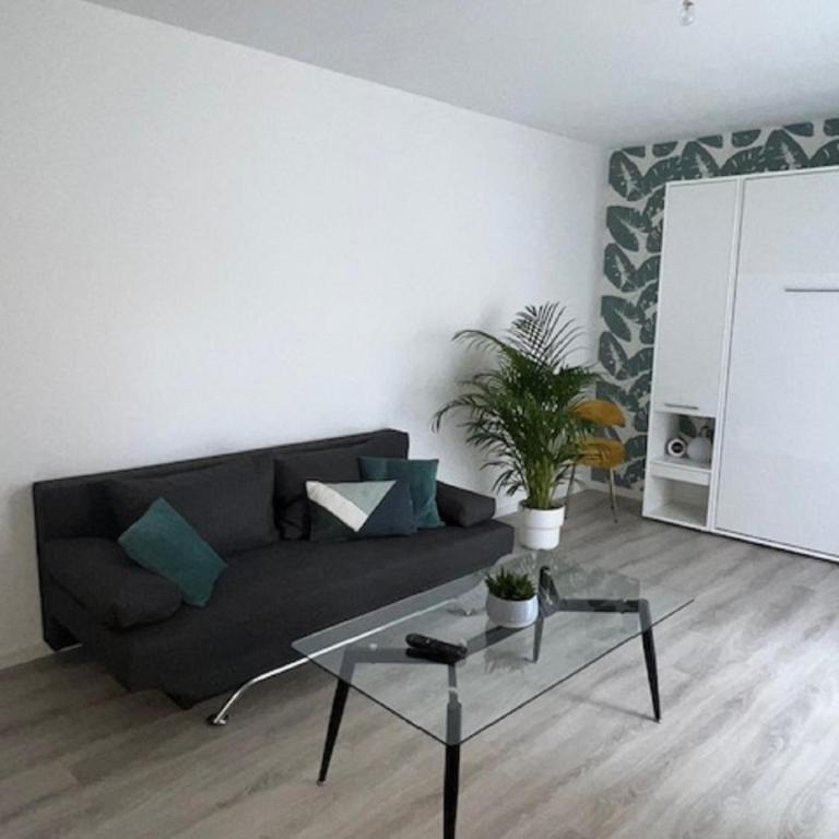 Un havre de paix en plein coeur de ville près Chu - Appartement - Rez-de-Chaussée - 4